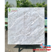 Gạch ốp lát cao cấp 100x100 bóng kiếng