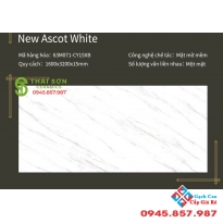 Gạch 160x320 matt mờ khổ lớn nhập khẩu