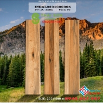 Gạch giả gỗ 20x100 ấn độ giá rẻ đa dạng mẫu mã
