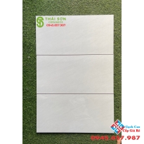 Mẫu gạch ốp tường đá bóng 30x60 cao cấp tasa giá rẻ