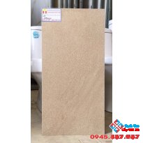 Gạch ốp tường toilet giá rẻ 30x60