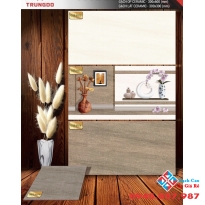 Gạch 30x60 dán tường đẹp