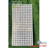 Gạch ốp tường trang trí 30x60 nhũ vàng men bóng cao cấp