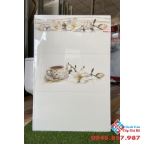 Gạch ốp tường trắng trơn 30x60 nhà ý