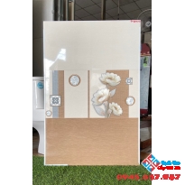 Gạch ốp tường men bóng 30x60 nhà ý