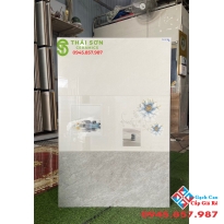 Gạch men bóng tasa ốp tường 30x60 bộ trắng xám cao cấp