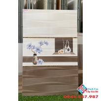 Gạch ốp tường 30x60 hcm