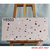 Gạch giả terrazzo trung quốc 30x60 ốp lát 