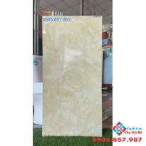 Giá gạch ốp tường 40x80 bóng kiếng