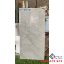 Gạch ốp tường phòng khách 40x80 bóng kiếng