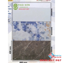 Gạch ốp tường toilet 40x80 apodio siêu bóng