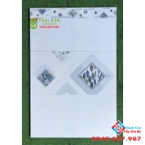Gạch bóng kiếng ốp tường phương nam 40x80