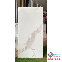 Gạch ốp tường cao cấp 40x80 trung quốc