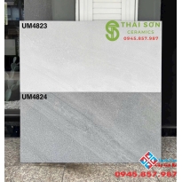 Gạch ốp lát 40x80 viglacera matt mịn cao cấp 