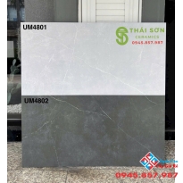 Gạch ốp lát đậm nhạt 40x80 viglacera matt mờ 