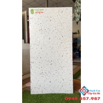 Gạch terazzo ấn độ 60x120 mờ