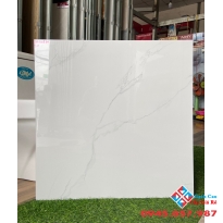 Gạch bóng kiếng 60x60 tông trắng
