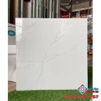 Gạch bóng kiếng 60x60 tông trắng