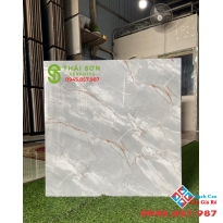 Gạch 600x600 bóng kính cao cấp Q2