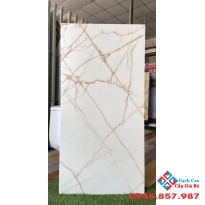 Tổng kho gạch nhập ấn độ 60x120 tại bình tân