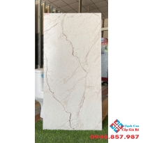 Đá mờ khổ lớn 60x120 nhập khẩu