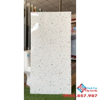 Gạch bóng kiêng ấn độ 60x120 terrazzo giả đá