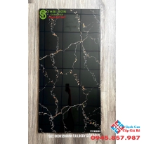 Gạch ốp mặt tiền 60x120 đồng chất bóng kiếng