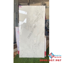 Gạch cao cấp malaysia 60x120 giá tốt