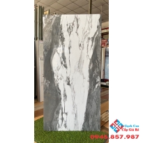 Gạch bóng kiếng cao cấp 60x120 mới nhất