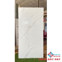Gạch khổ lớn 60x120 trắng mây trung quốc