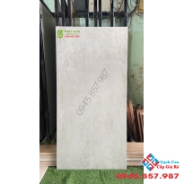 Gạch dán tường 60x120 granite mờ đồng chất