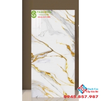 Gạch ốp lát 60x120 ấn độ nhũ vàng bóng kiếng mẫu mới nhất