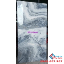 Gạch lát nền màu ánh kim 60x120