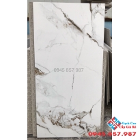 Đại lý bán gạch nhập khẩu 60x120 trung quốc chất lượng giá rẻ