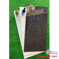 Gạch hoa cương 60x120 mới nhất