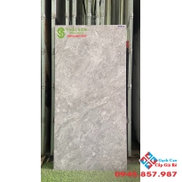 Gạch viglacera 60x120 matt mờ lát nền 
