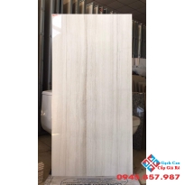 Gạch ý mỹ 60x120