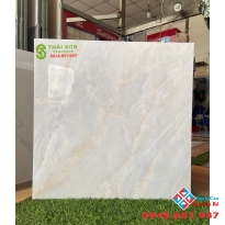 Gạch nhập ấn độ 60x60 bóng kiếng