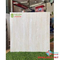 Gạch ấn độ 60x60 cao cấp Q8