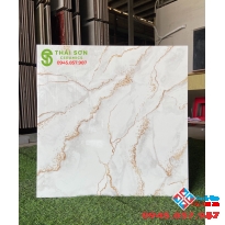 Gạch ốp lát bóng kiếng 60x60 cao cấp Gò vấp