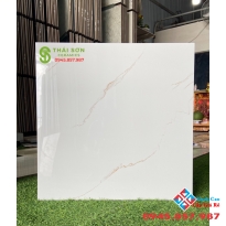 Gạch bóng kiếng 60x60 lót sàn phòng khách cao cấp