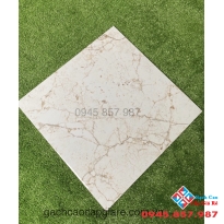Gạch ấn độ cao cấp 60x60 bóng kiếng