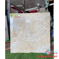 Gạch cao cấp ốp lát 60x60 catalan mới nhất