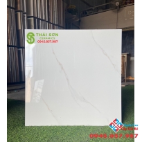 Gạch bóng kiếng 60x60 ốp lát giá rẻ tại tphcm