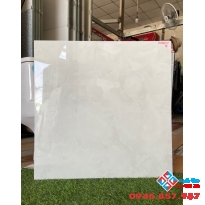 Gạch lát nền ttc 60x60 bóng kiếng