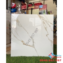 Gạch vi tinh siêu bóng 60x60 cao cấp