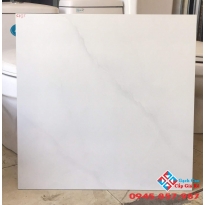 Gạch 60x60 lót nền giá rẻ