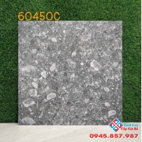 Gạch ốp tường 60x60 terazzo mờ