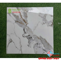 Gạch trung quốc cao cấp khắc kim 60x60