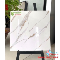 Gạch granite cao cấp 60x60 bóng kiếng